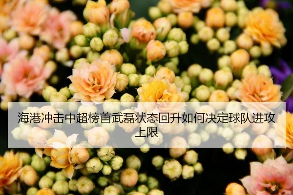 海港冲击中超榜首武磊状态回升如何决定球队进攻上限